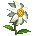 Flower of Precious Memory (Exclusive)